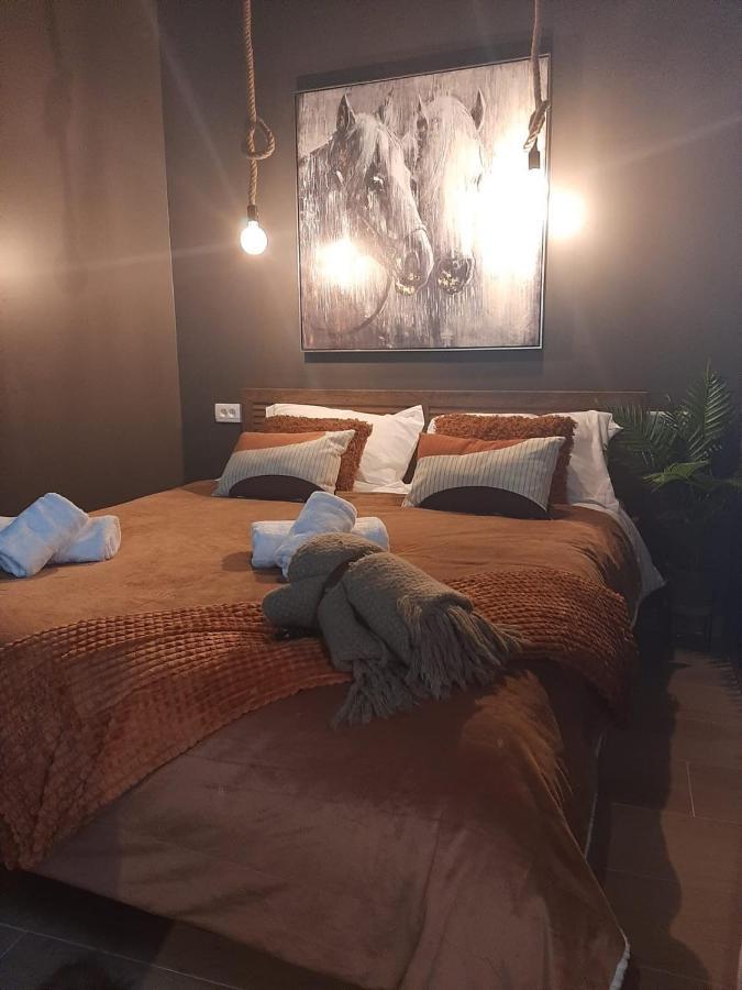 Apartments Mazijini Dvori 扎达尔 外观 照片